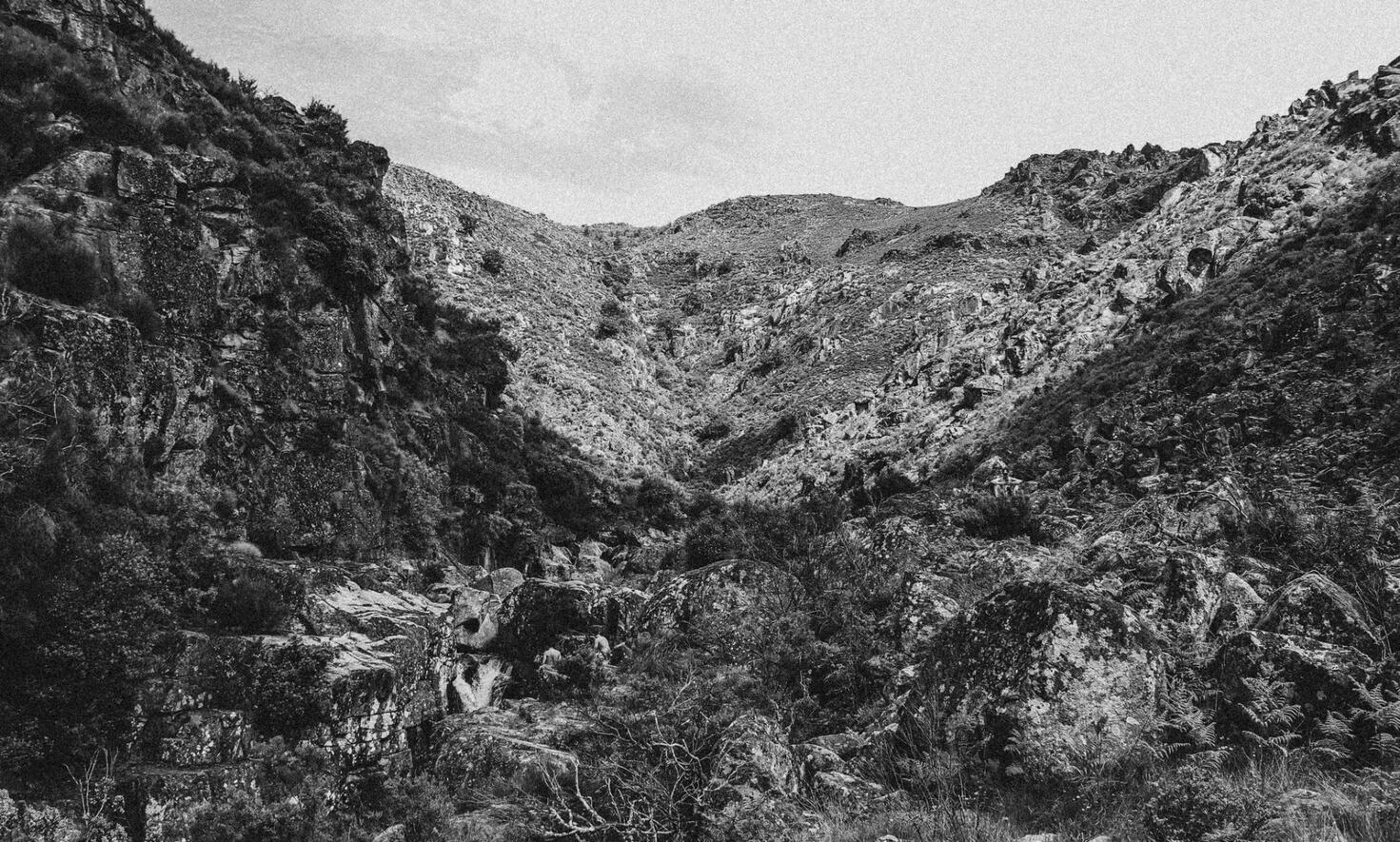 Rio Poio, Cerva I